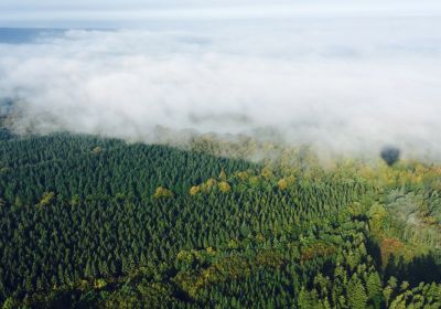 Montgolfière Waimes et Malmédy