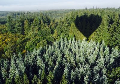 Montgolfière Waimes et Malmédy